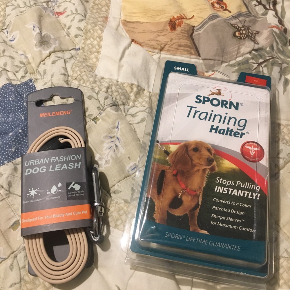 Dog leash and training halter